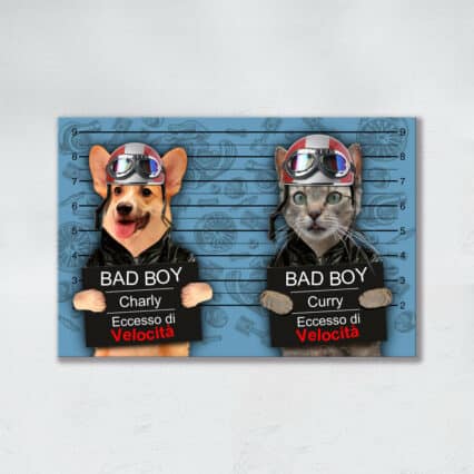 Bad Pets DUO