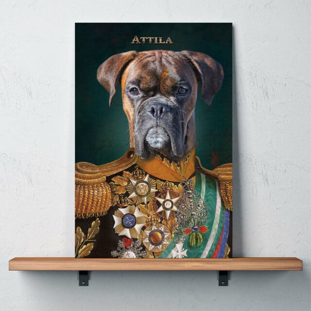 Il Comandante