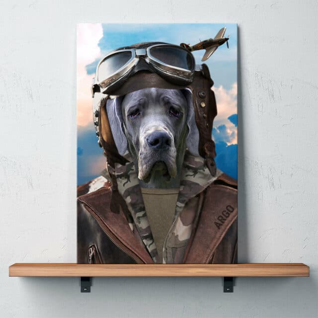 L'aviatore - immagine 4