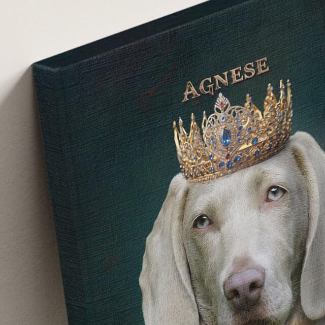 La Principessa Avana - immagine 9