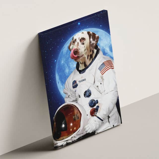 L'astronauta - immagine 3