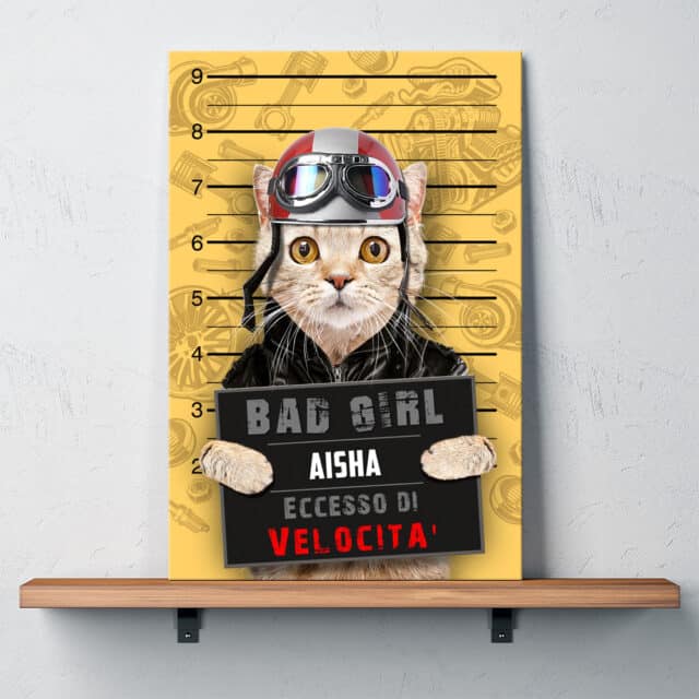 Eccesso di Velocità - immagine 13
