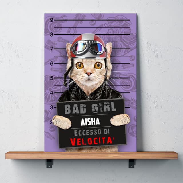 Eccesso di Velocità - immagine 12