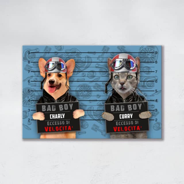 Eccesso di Velocità DUO - immagine 2