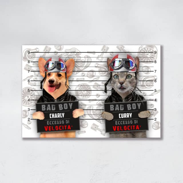 Eccesso di Velocità DUO - immagine 3