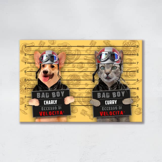 Eccesso di Velocità DUO - immagine 4