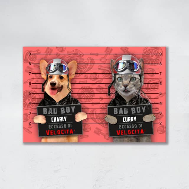 Eccesso di Velocità DUO - immagine 5