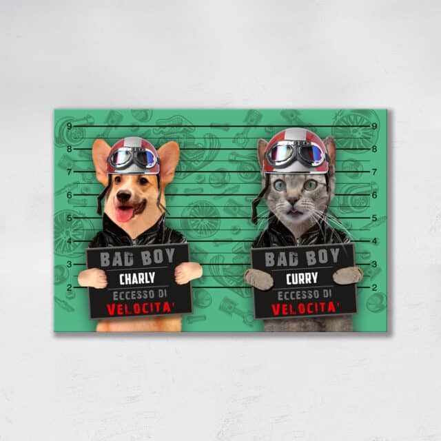 Eccesso di Velocità DUO - immagine 6