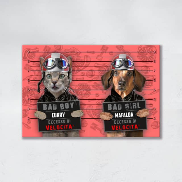 Eccesso di Velocità DUO - immagine 11