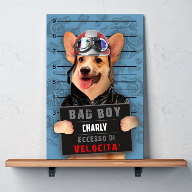 Eccesso di Velocità - immagine 11
