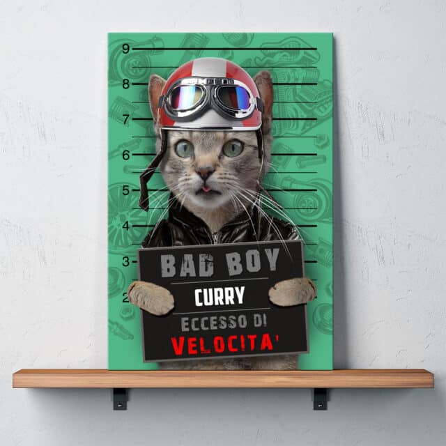 Eccesso di Velocità