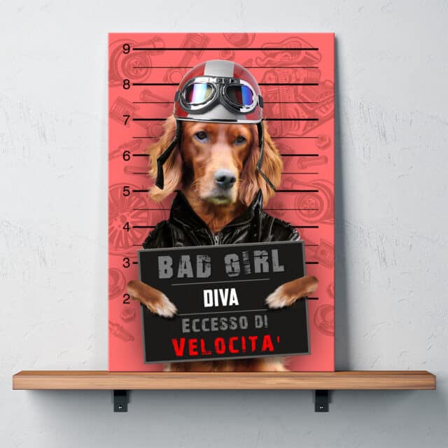 Eccesso di Velocità - immagine 7