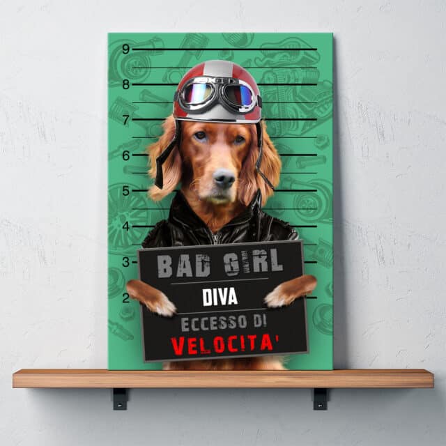 Eccesso di Velocità - immagine 6