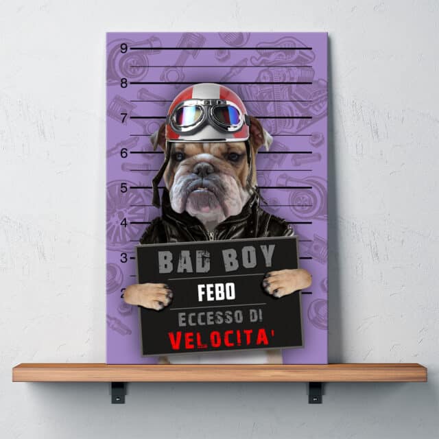 Eccesso di Velocità - immagine 4