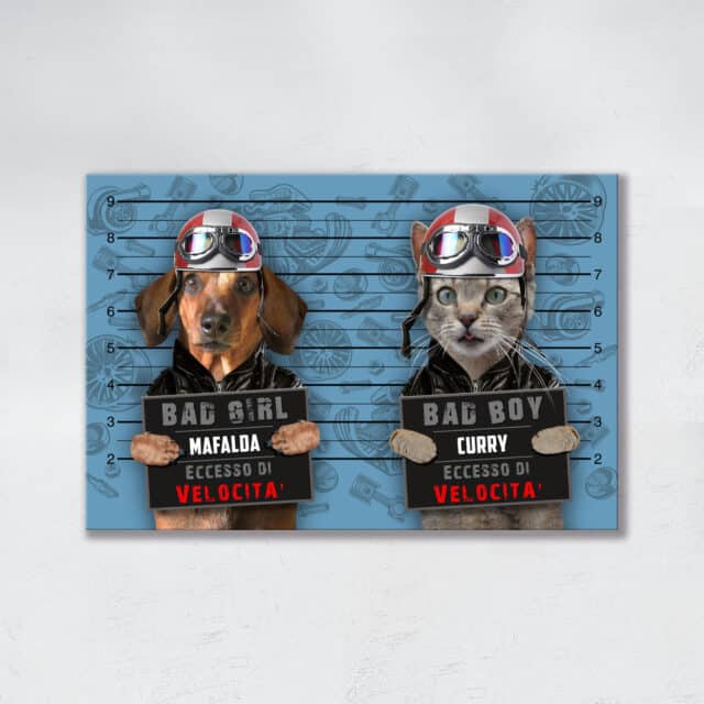 Eccesso di Velocità DUO - immagine 14