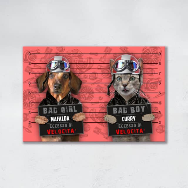 Eccesso di Velocità DUO - immagine 17