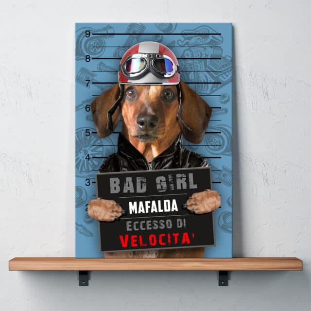 Eccesso di Velocità - immagine 3