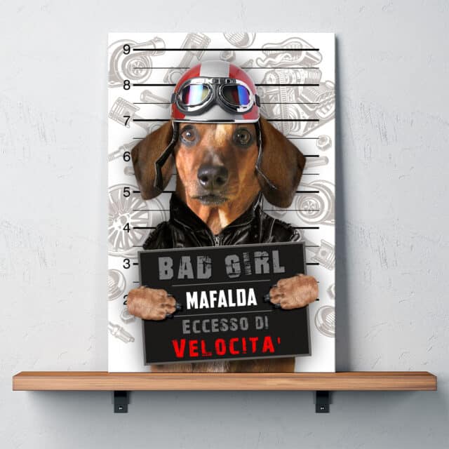 Eccesso di Velocità - immagine 2
