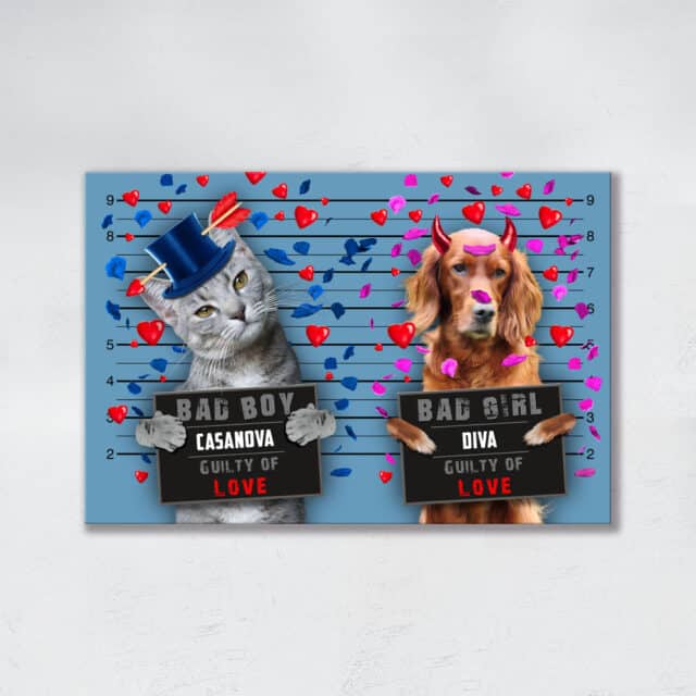 Guilty of Love DUO - immagine 14