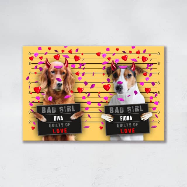 Guilty of Love DUO - immagine 4