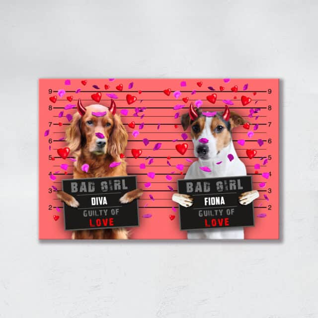 Guilty of Love DUO - immagine 5