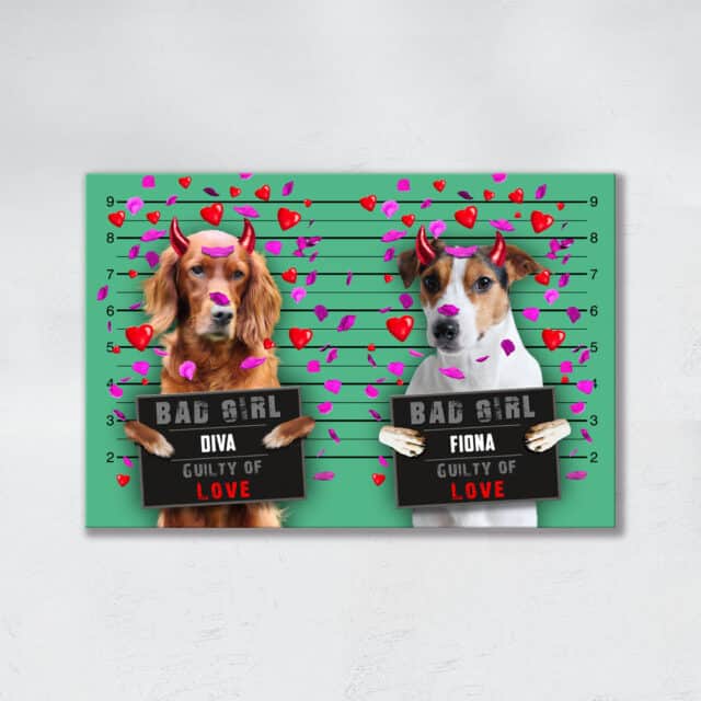 Guilty of Love DUO - immagine 6