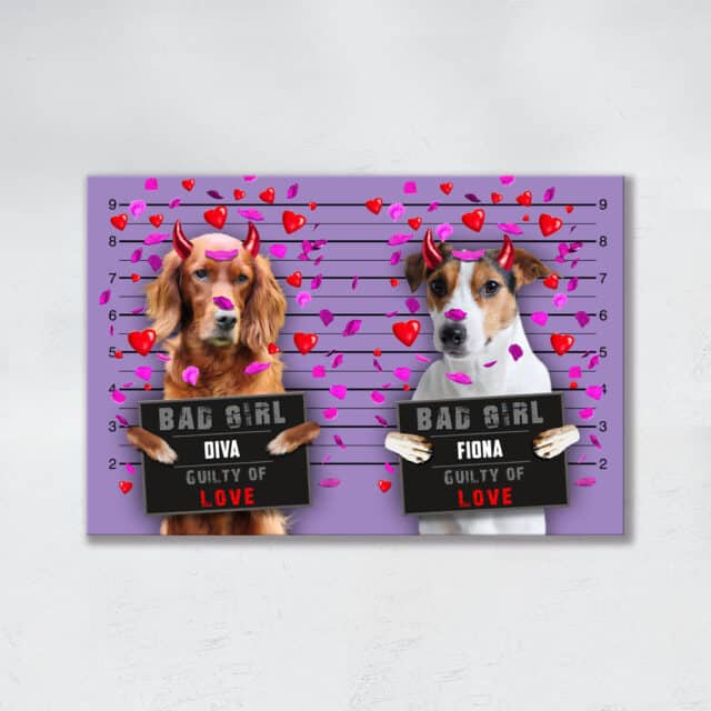 Guilty of Love DUO - immagine 7
