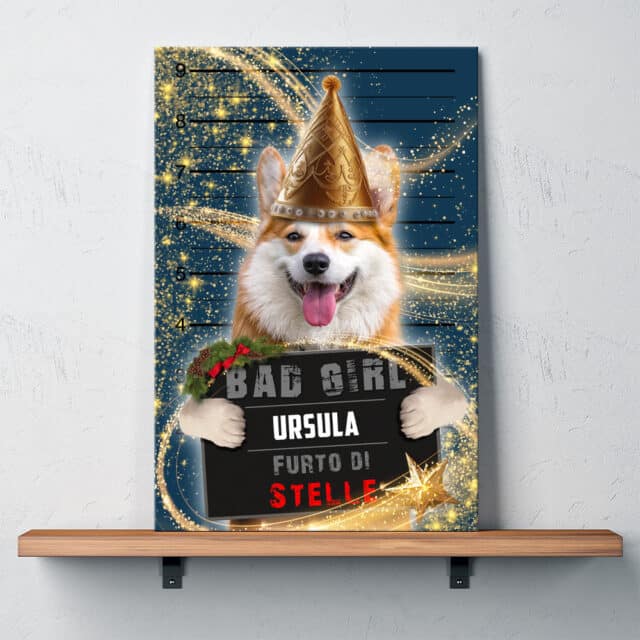 Furto di Stelle