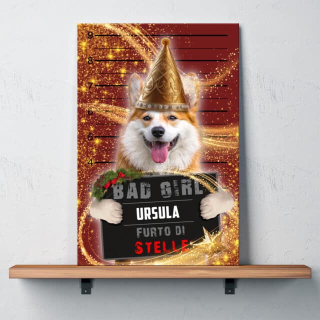 Furto di Stelle - immagine 4