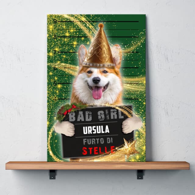 Furto di Stelle - immagine 3