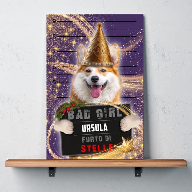 Furto di Stelle - immagine 2