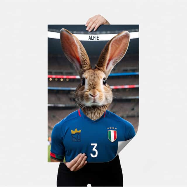Il Calciatore - POSTER - immagine 3