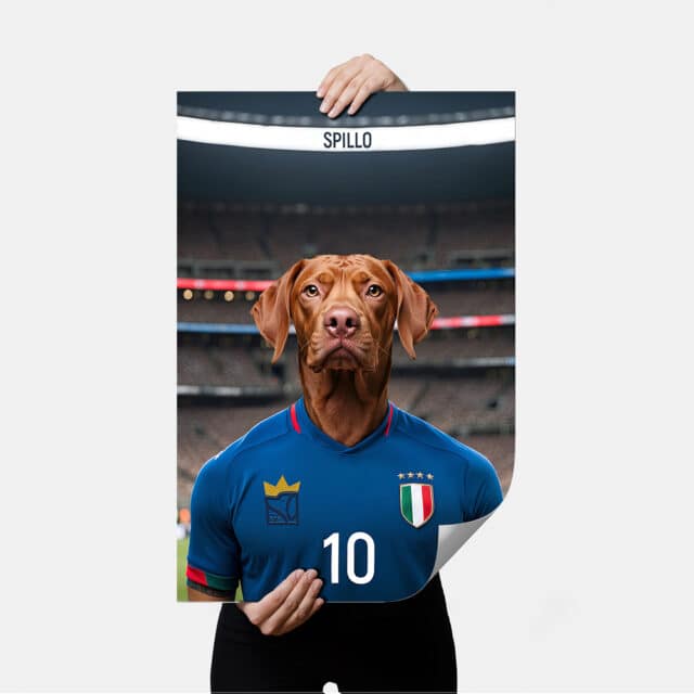 Il Calciatore - POSTER
