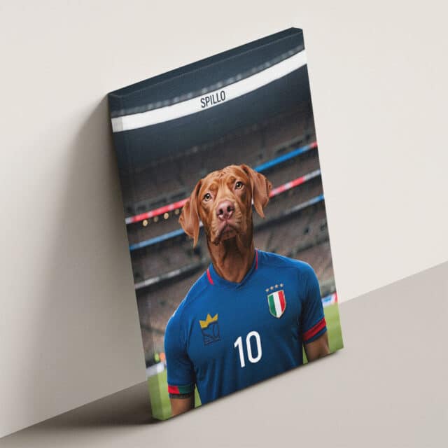 Il Calciatore - immagine 3