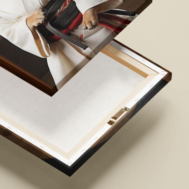 Il Judoka - immagine 5