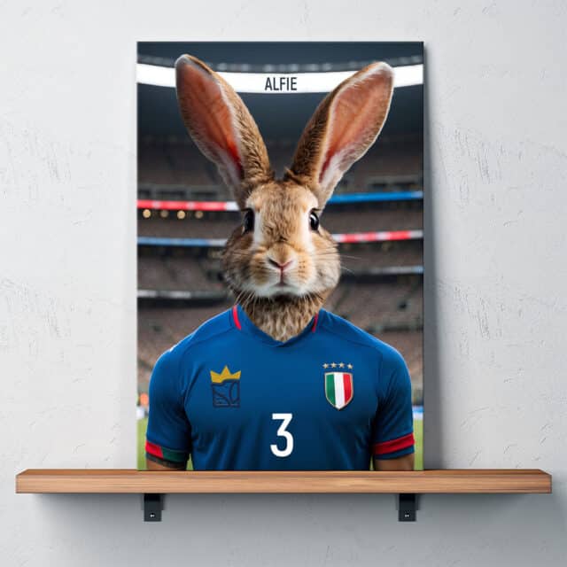 Il Calciatore - immagine 2