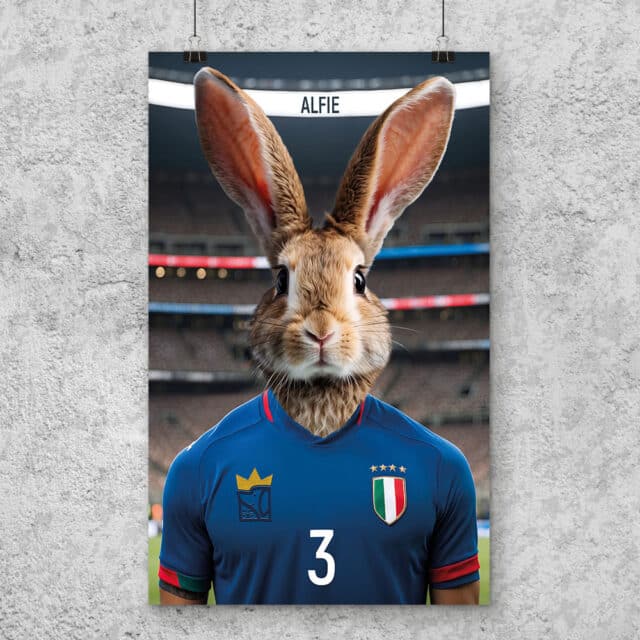 Il Calciatore - POSTER - immagine 4