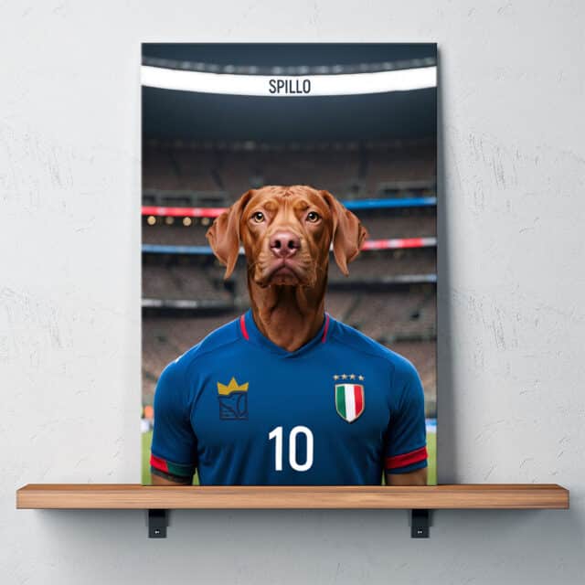 Il Calciatore