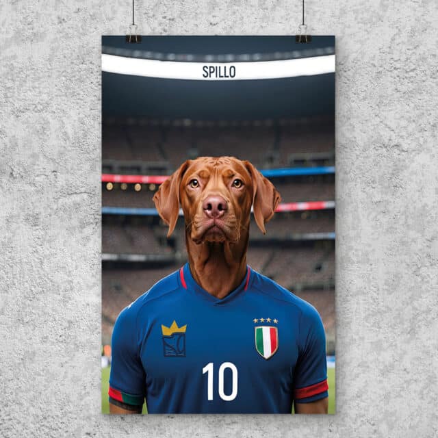Il Calciatore - POSTER - immagine 2